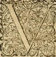 An illustration from Sylloge numismatum elegantiorum, quae diuersi impp., reges, principes, comites, respublicae diuersas ob causas ab anno 1500 ad annum usq[ue] 1600 cudi fecerunt, concinnata & historica narratione (sed breui) illustrata (1620)