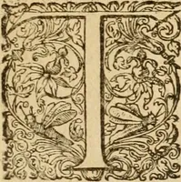 An illustration from Sylloge numismatum elegantiorum, quae diuersi impp., reges, principes, comites, respublicae diuersas ob causas ab anno 1500 ad annum usq[ue] 1600 cudi fecerunt, concinnata & historica narratione (sed breui) illustrata (1620)