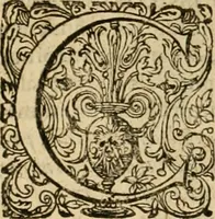 An illustration from Sylloge numismatum elegantiorum, quae diuersi impp., reges, principes, comites, respublicae diuersas ob causas ab anno 1500 ad annum usq[ue] 1600 cudi fecerunt, concinnata & historica narratione (sed breui) illustrata (1620)