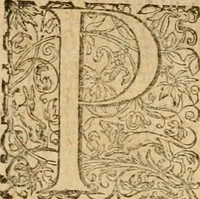 An illustration from Sylloge numismatum elegantiorum, quae diuersi impp., reges, principes, comites, respublicae diuersas ob causas ab anno 1500 ad annum usq[ue] 1600 cudi fecerunt, concinnata & historica narratione (sed breui) illustrata (1620)