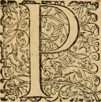 An illustration from Sylloge numismatum elegantiorum, quae diuersi impp., reges, principes, comites, respublicae diuersas ob causas ab anno 1500 ad annum usq[ue] 1600 cudi fecerunt, concinnata & historica narratione (sed breui) illustrata (1620)
