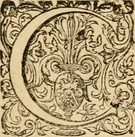 An illustration from Sylloge numismatum elegantiorum, quae diuersi impp., reges, principes, comites, respublicae diuersas ob causas ab anno 1500 ad annum usq[ue] 1600 cudi fecerunt, concinnata & historica narratione (sed breui) illustrata (1620)