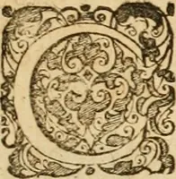 An illustration from Sylloge numismatum elegantiorum, quae diuersi impp., reges, principes, comites, respublicae diuersas ob causas ab anno 1500 ad annum usq[ue] 1600 cudi fecerunt, concinnata & historica narratione (sed breui) illustrata (1620)
