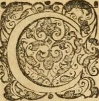 An illustration from Sylloge numismatum elegantiorum, quae diuersi impp., reges, principes, comites, respublicae diuersas ob causas ab anno 1500 ad annum usq[ue] 1600 cudi fecerunt, concinnata & historica narratione (sed breui) illustrata (1620)