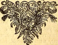 An illustration from Sylva sylvarum; or, A natural history. In ten centuries; whereunto is newly added the History natural and experimental of life and death, or of the prolongation of life (1670)