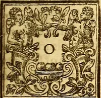 An illustration from Sylva sylvarum; or, A natural history. In ten centuries; whereunto is newly added the History natural and experimental of life and death, or of the prolongation of life (1670)