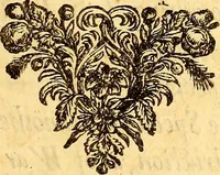 An illustration from Sylva sylvarum; or, A natural history. In ten centuries; whereunto is newly added the History natural and experimental of life and death, or of the prolongation of life (1670)