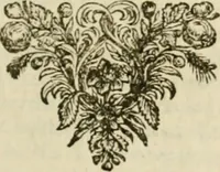 An illustration from Sylva sylvarum; or, A natural history, in ten centuries. Whereunto is newly added the History natural and experimental of life and death, or of the prolongation of life (1670)