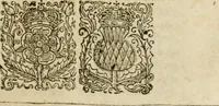 An illustration from Sylva sylvarum; or, A natural history, in ten centuries. Whereunto is newly added the History natural and experimental of life and death, or of the prolongation of life (1670)