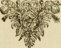 An illustration from Sylva sylvarum; or, A natural history, in ten centuries. Whereunto is newly added the History natural and experimental of life and death, or of the prolongation of life (1670)