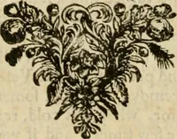 An illustration from Sylva sylvarum; or, A natural history, in ten centuries. Whereunto is newly added the History natural and experimental of life and death, or of the prolongation of life (1670)