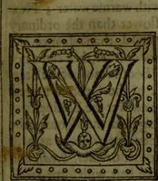 An illustration from Sylva sylvarvm : or, A naturall historie, in ten centuries (1627)