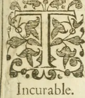 Picture 33 of 33 from Sylva sylvarvm; or, A naturall historie, in ten centuries (1628), leaf 334