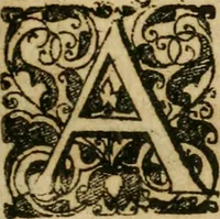 Picture 28 of 64 from Symbola avreae mensae dvodecim nationvm : hoc est, Hermaea sev Mercvrii festa ab heroibus duodenu selectu, artis chymicae usu, sapientia & authoritate paribvs celebrata, ad Pyrgopolynicen seu aduersarium illum tot annis iactabundum ... (1617), leaf 214