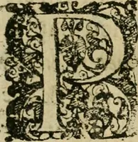 Picture 11 of 64 from Symbola avreae mensae dvodecim nationvm : hoc est, Hermaea sev Mercvrii festa ab heroibus duodenu selectu, artis chymicae usu, sapientia & authoritate paribvs celebrata, ad Pyrgopolynicen seu aduersarium illum tot annis iactabundum ... (1617), leaf 24