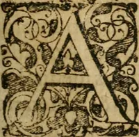 Picture 38 of 64 from Symbola avreae mensae dvodecim nationvm : hoc est, Hermaea sev Mercvrii festa ab heroibus duodenu selectu, artis chymicae usu, sapientia & authoritate paribvs celebrata, ad Pyrgopolynicen seu aduersarium illum tot annis iactabundum ... (1617), leaf 342