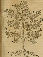 Picture 39 of 64 from Symbola avreae mensae dvodecim nationvm : hoc est, Hermaea sev Mercvrii festa ab heroibus duodenu selectu, artis chymicae usu, sapientia & authoritate paribvs celebrata, ad Pyrgopolynicen seu aduersarium illum tot annis iactabundum ... (1617), leaf 368