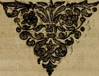 Picture 54 of 64 from Symbola avreae mensae dvodecim nationvm : hoc est, Hermaea sev Mercvrii festa ab heroibus duodenu selectu, artis chymicae usu, sapientia & authoritate paribvs celebrata, ad Pyrgopolynicen seu aduersarium illum tot annis iactabundum ... (1617), leaf 531