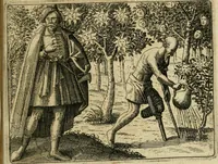 An illustration from Symbola avreae mensae dvodecim nationvm : hoc est, Hermaea sev Mercvrii festa ab heroibus duodenu selectu, artis chymicae usu, sapientia & authoritate paribvs celebrata, ad Pyrgopolynicen seu aduersarium illum tot annis iactabundum ... (1617)