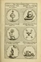 An illustration from Symbola diuina & humana pontificvm, imperatorum, regum (1600)