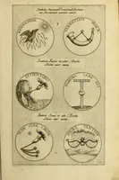 An illustration from Symbola diuina & humana pontificvm, imperatorum, regum (1600)