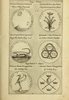 An illustration from Symbola diuina & humana pontificvm, imperatorum, regum (1600)