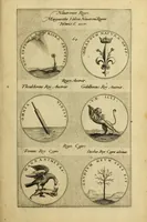 An illustration from Symbola diuina & humana pontificvm, imperatorum, regum (1600)