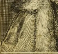 Picture 83 of 93 from Symbola diuina & humana pontificvm, imperatorum, regum (1600), leaf 130