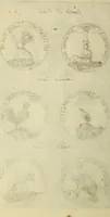 An illustration from Symbola diuina & humana pontificvm, imperatorum, regum (1600)