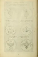 An illustration from Symbola diuina & humana pontificvm, imperatorum, regum (1600)
