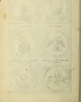 An illustration from Symbola diuina & humana pontificvm, imperatorum, regum (1600)