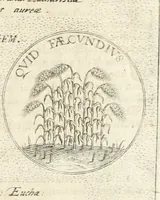 An illustration from Symbola diuina & humana pontificum, imperatorum, regum (1652)