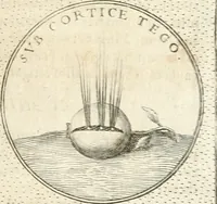 Picture 281 of 745 from Symbola diuina & humana pontificum, imperatorum, regum (1652), leaf 156