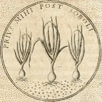 Picture 327 of 745 from Symbola diuina & humana pontificum, imperatorum, regum (1652), leaf 196