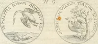 An illustration from Symbola diuina & humana pontificum, imperatorum, regum (1652)