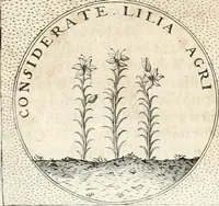 An illustration from Symbola diuina & humana pontificum, imperatorum, regum (1652)