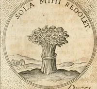 Picture 521 of 745 from Symbola diuina & humana pontificum, imperatorum, regum (1652), leaf 360