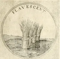 An illustration from Symbola diuina & humana pontificum, imperatorum, regum (1652)