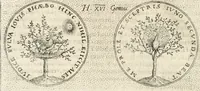 An illustration from Symbola diuina & humana pontificum, imperatorum, regum (1652)