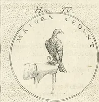 An illustration from Symbola diuina & humana pontificum, imperatorum, regum (1652)
