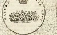 Picture 135 of 745 from Symbola diuina & humana pontificum, imperatorum, regum (1652), leaf 69