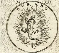 Picture 137 of 745 from Symbola diuina & humana pontificum, imperatorum, regum (1652), leaf 69