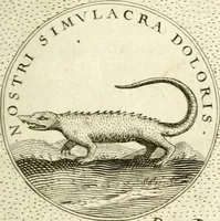 An illustration from Symbola diuina & humana pontificum, imperatorum, regum (1601)