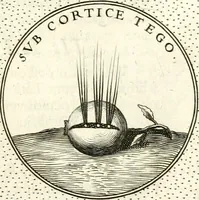 Picture 346 of 811 from Symbola diuina & humana pontificum, imperatorum, regum (1601), leaf 158