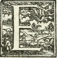 An illustration from Symbola diuina & humana pontificum, imperatorum, regum (1601)