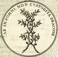 An illustration from Symbola diuina & humana pontificum, imperatorum, regum (1601)