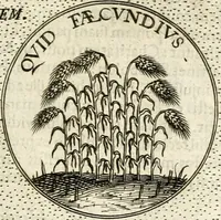 An illustration from Symbola diuina & humana pontificum, imperatorum, regum (1601)