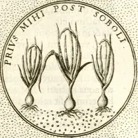 Picture 399 of 811 from Symbola diuina & humana pontificum, imperatorum, regum (1601), leaf 198