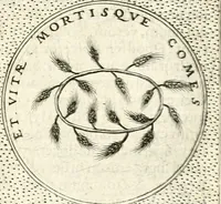 An illustration from Symbola diuina & humana pontificum, imperatorum, regum (1601)