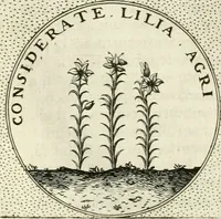 An illustration from Symbola diuina & humana pontificum, imperatorum, regum (1601)